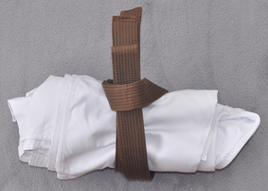 Brown Belt